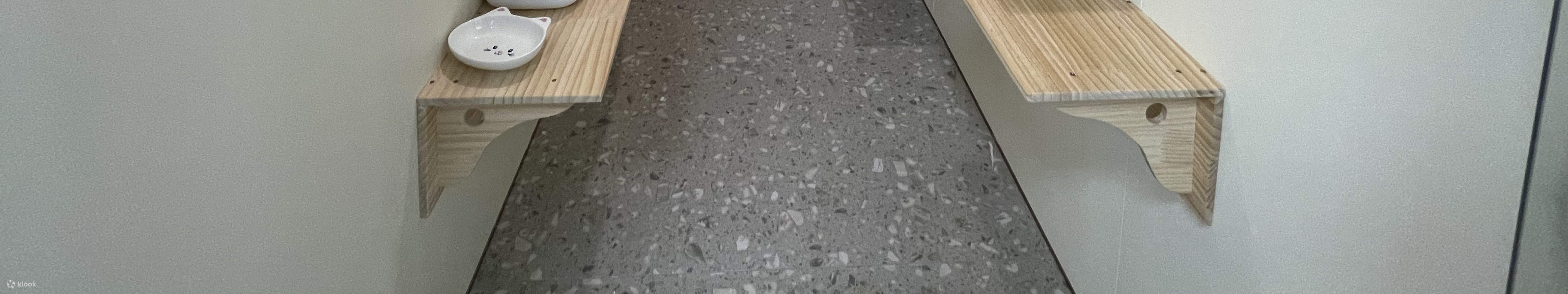 Deluxe Twin Cat Room - Interior